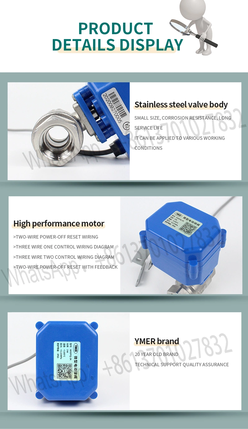 1/2inch DN15 220V Stainless Steel Mini Motorized Ball Valve for Water