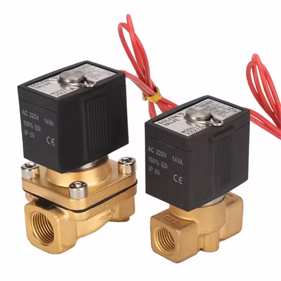 1 1/2'' 2'' IP68 étanche fontaine d'eau sous-marine électrovanne en laiton 12VDC 24VDC 110VAC 220VAC